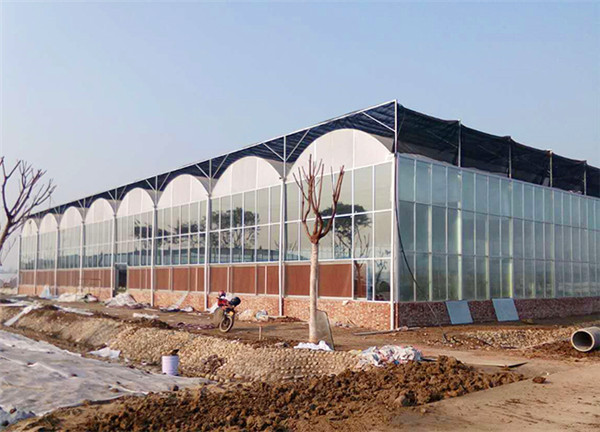 連棟薄膜溫室