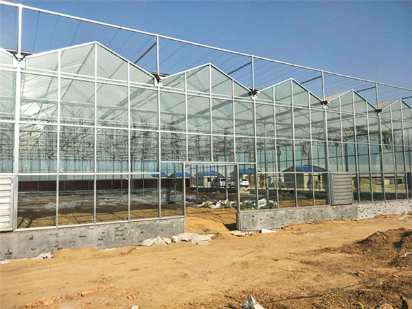 溫室大棚建設選場地的條件有哪些?