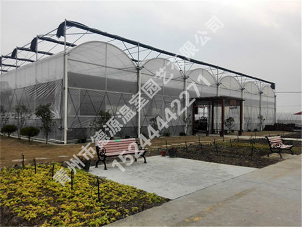 吉林省白城洮南富順鄉15000平米連棟薄膜溫室