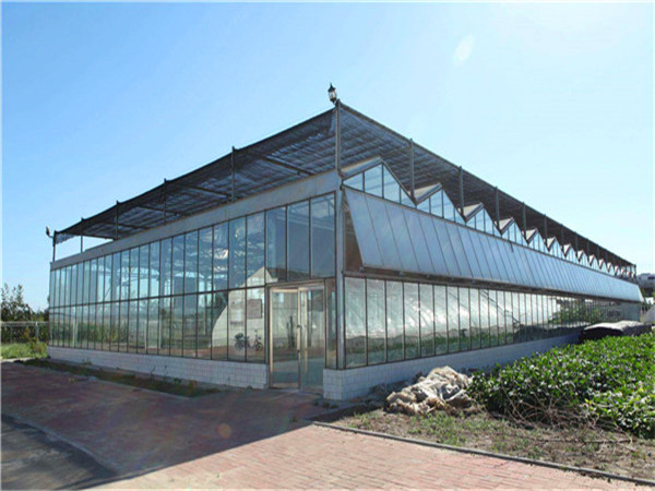 內蒙古包頭富立恒天農業合作社